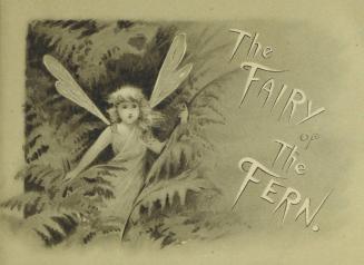 The fairy of the fern
