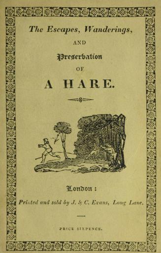 The escapes, wanderings, and preservation of a hare : related by herself