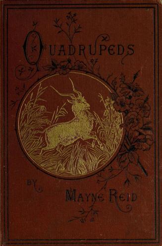 Quadrupeds : a book of zoology for boys