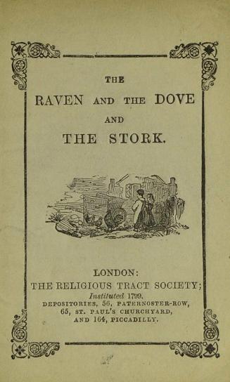 The raven and the dove and the stork