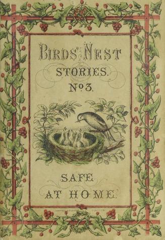 Birds' Nest stories. No. 3, Safe at home