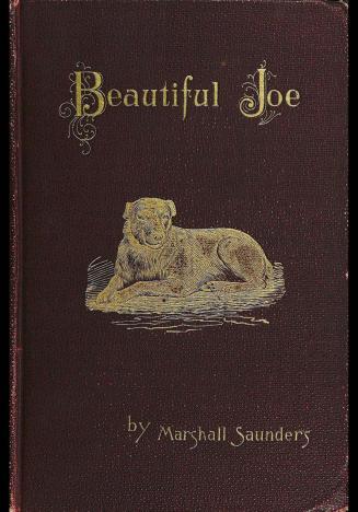Beautiful Joe : an autobiography