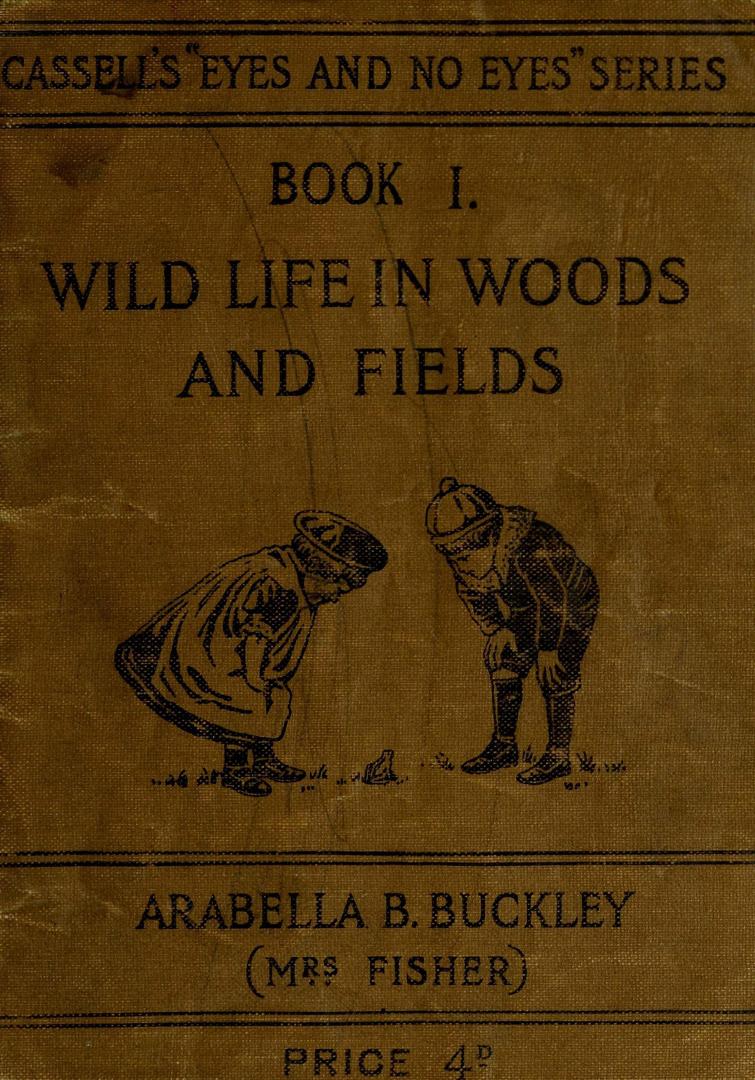 Wild life in woods and fields