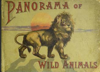 Panorama of wild animals