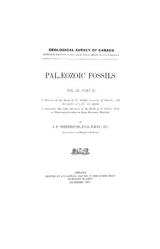 Paleozoic fossils