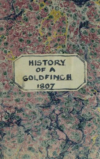 The history of a goldfinch