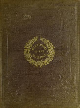 The wild flowers of the alphabet : a poem for children