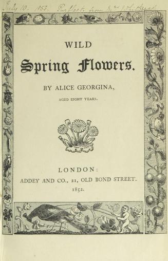 Wild spring flowers