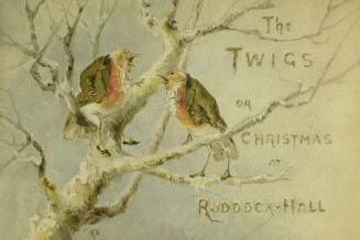 The twigs, or, Christmas at Ruddock Hall / illustrations by Robert Dudley
