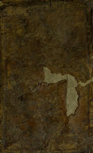 A new grammar of the Latin tongue : comprising all in the art necessary for grammar-schools