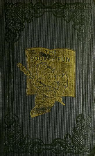 The book of fun, or, Laugh and learn for boys and girls
