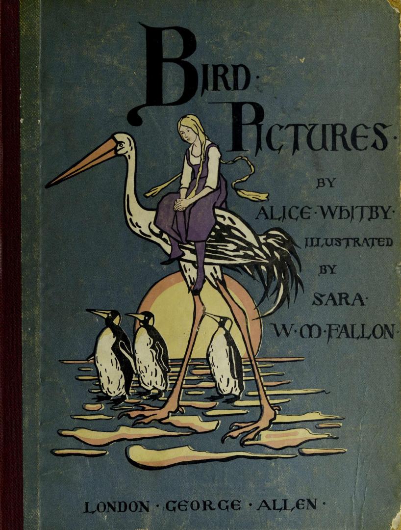 Bird pictures
