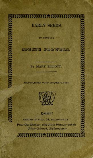 Early seeds to produce spring flowers