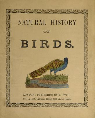 Natural history of birds