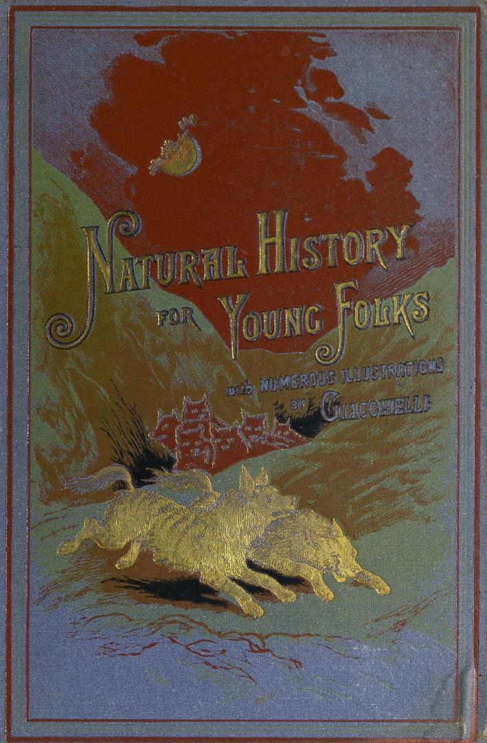 Natural history for young folks
