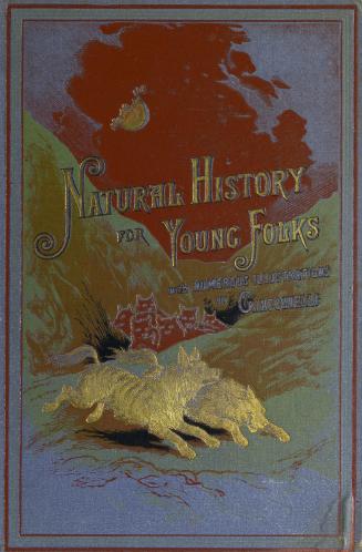 Natural history for young folks