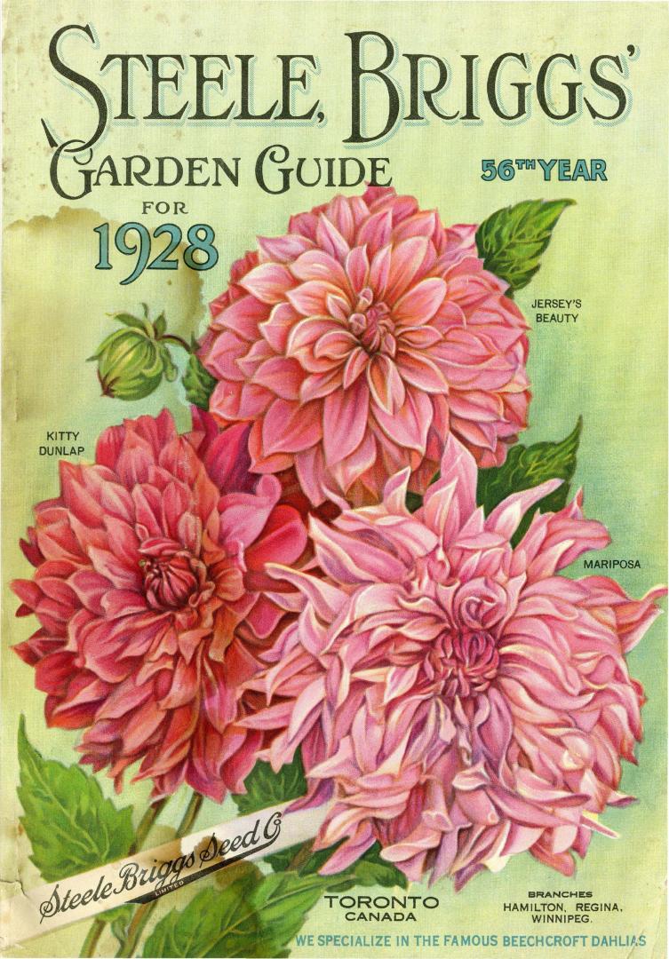 Steele Briggs Seed Vintage Flowers Seed Packet Catalogue Advertisement Poster 
