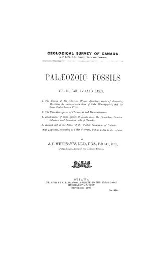 Paleozoic fossils