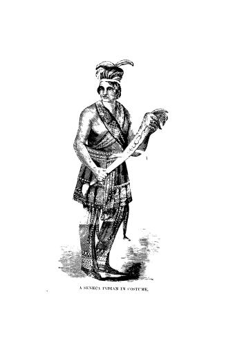 The Iroquois, or, The bright side of Indian character