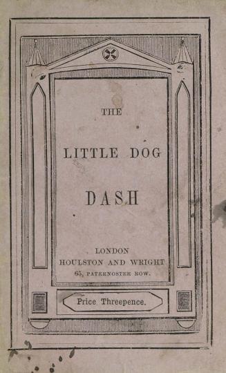 The little dog Dash