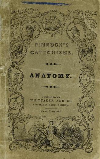 A catechism of anatomy : for the instruction of youth in the first principles of that science