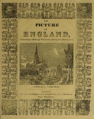 The picture of England : containing a series of views with descriptive information