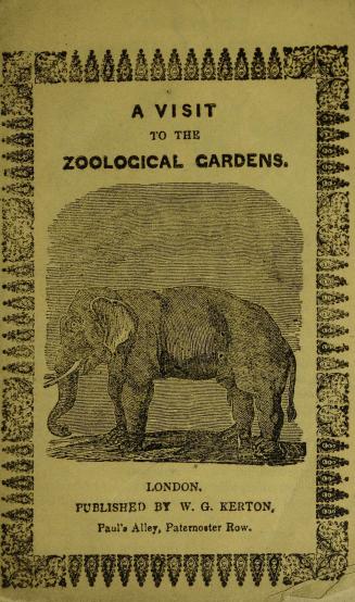 A visit to the zoological gardens