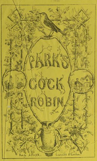 Park's Cock Robin