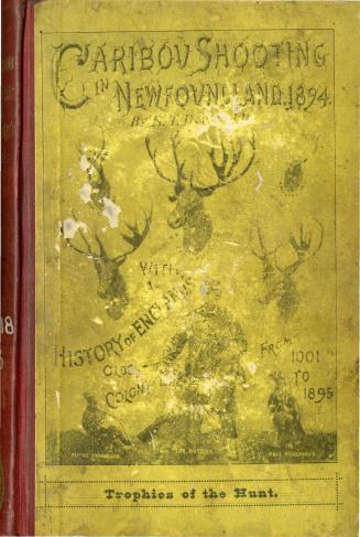 Caribou shooting in Newfoundland, with a history of England's oldest colony from 1001 to 1895