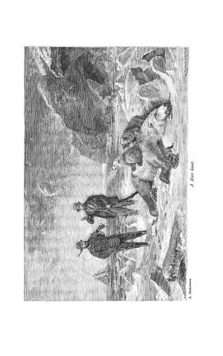 Yachting in the Arctic seas: or, Notes of five voyages of sport and discovery in the neighbourhood of Spitzbergen and Novaya Zembya