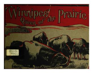 Winnipeg, queen of the prairies
