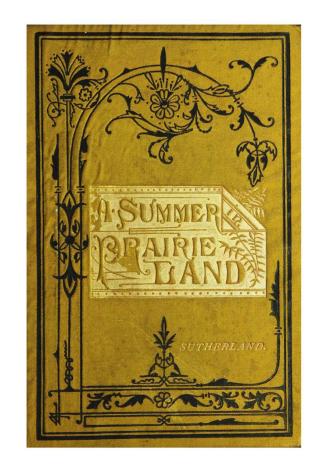 A summer in prairie-land, notes of a tour through the North-west territory
