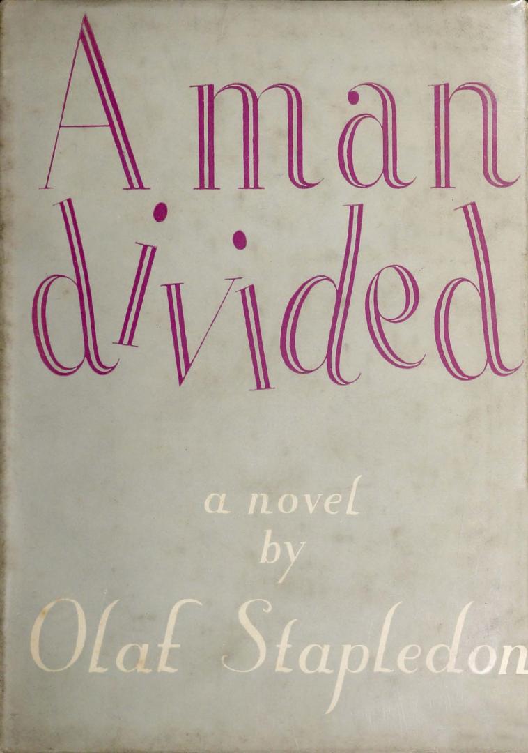 Book cover: Grey with pink lettering of the novel's title and author.
