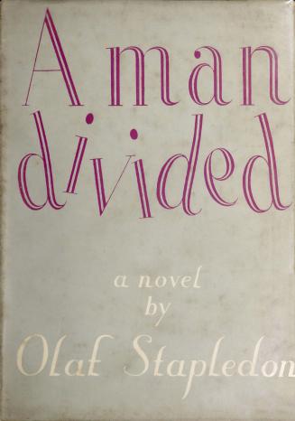 Book cover: Grey with pink lettering of the novel's title and author.