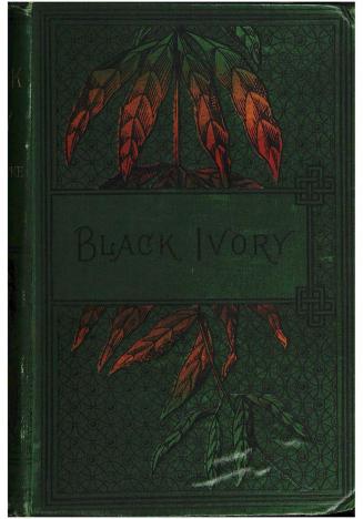 Black ivory : a tale of adventure among the slavers of East Africa