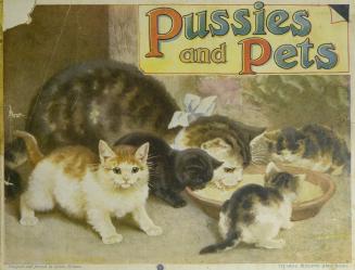 Pussies and pets