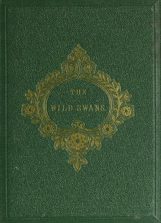 The wild swans