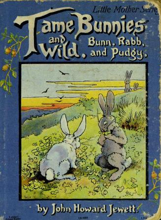 Tame bunnies and wild : Bunn, Rabb and Pudgy