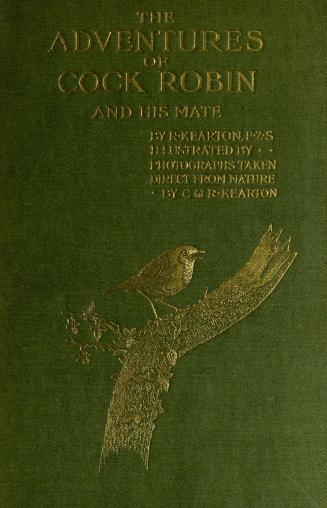 The adventures of Cock Robin and his mate
