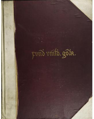 The finding of Wineland the good: the history of the Icelandic discovery of America; ed. and tr. from the earliest records by Arthur Middleton Reeves; to which is added Biography and correspondence of the author, by W. D. Foulke; with phototype plates of the vellum mss. of the sagas