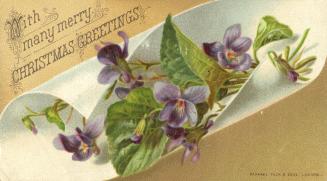 Illustration of a bunch of purple pansies with green leaves. 