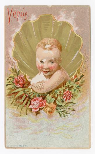 Image of a rosy cheeked baby in front of a Venus de Milo shell with roses and greenery 
