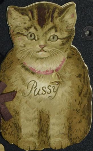 Pussy : Pussy's picture book