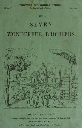 The seven wonderful brothers