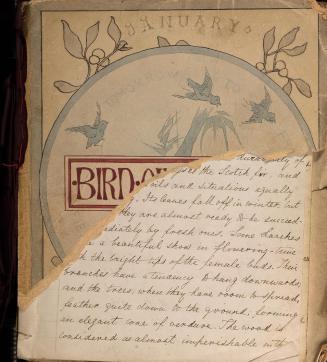 Bird of Passage, January [1881]