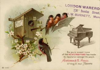 Whimsical illustration of bird house and a branch with white blossoms with three red-breasted m ...