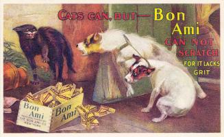 Cats can, but - Bon Ami can not scratch
