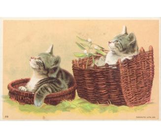 Illustration of two grey tabby kittens; one kitten is sitting in a basket and the other in the  ...