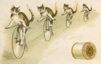 Four cats on bicycles