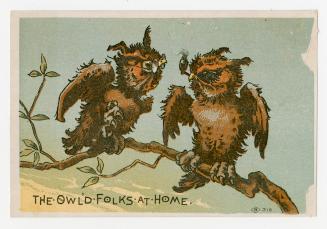 Colour card advertisement. Front of card depicts an illustration of two owls socializing. One o ...